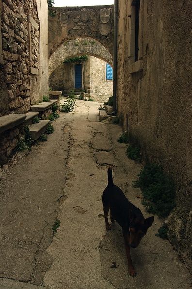 IMGP6395.JPG