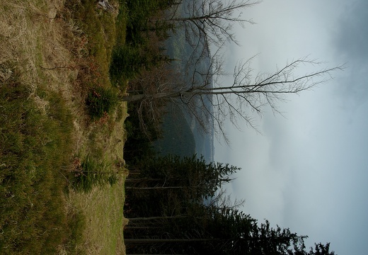 Čertova hora u Harrachova 2007