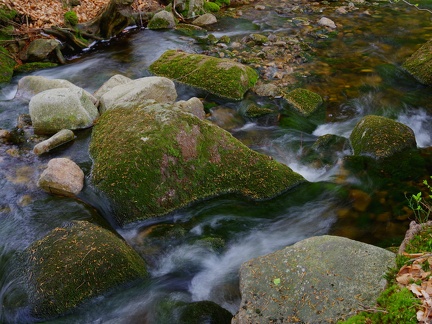 IMGP9366