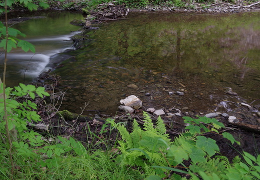 Údolí Moravské Sázavy